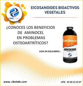 Aminocel | Suplemento para regeneración muscular y recuperación física