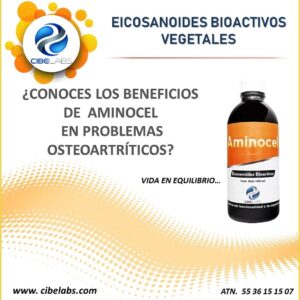 Aminocel | Suplemento para regeneración muscular y recuperación física